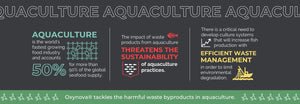 Aquaculture shrimp farming sustainability and efficient waste management infographic