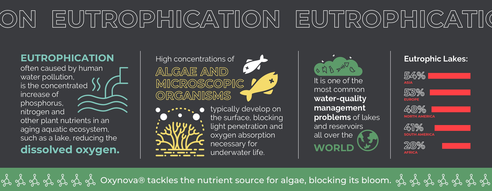Eutrophication algae water quality management problems infographic