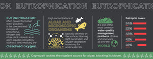 Eutrophication algae water quality management problems infographic