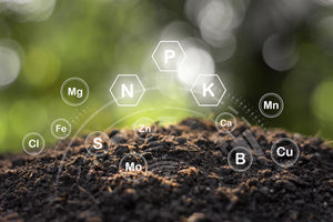 Clean soil with graphical periodic table elements against green background