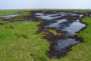 Oil spill in green field in need of petroleum bioremediation